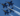 Blue Angels, Tampa Events